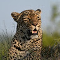 Profile Picture of Jo Ridley (@jo-ridley-5) on Quora