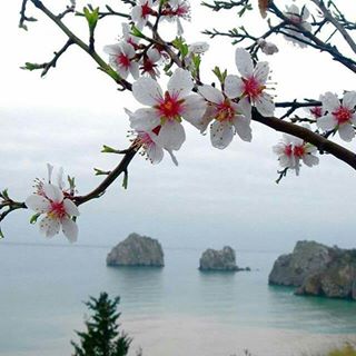 Profile Picture of Ashraf Masri (@ashraf.masri.393) on Facebook