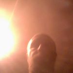 Profile Picture of Joe BrAga (@braga9234) on Instagram