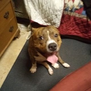 Profile Picture of Joshua Spears (@joshua.spears.336) on Facebook