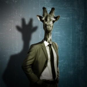 Profile Picture of Martingrand (@martingrand) on Myspace