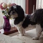 Profile Picture of Lisa Greer (@lisa.greer.338) on Instagram