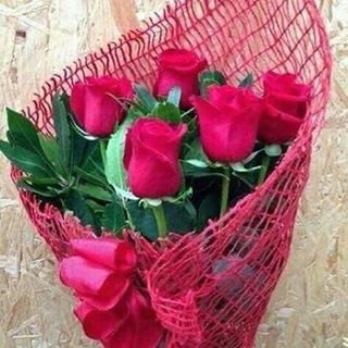 Profile Picture of Noha Carafa (@noha.carafa.9) on Facebook