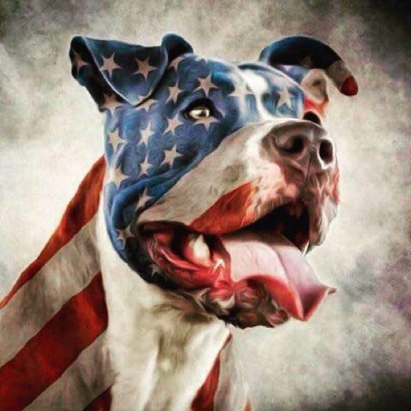 Profile Picture of Noel Quinn (@surfcitygirlq) on Poshmark