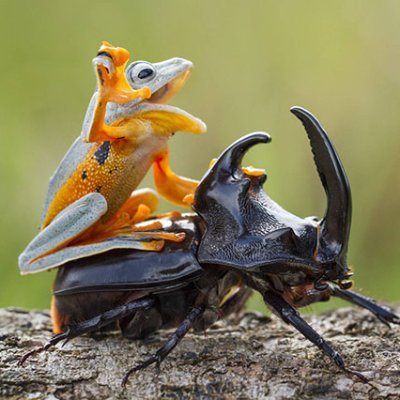 Profile Picture of Darren Tsang (@DarrenTsang7) on Twitter