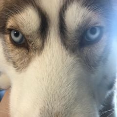 Profile Picture of jeffmckeon (@jeffmckeon) on Tiktok