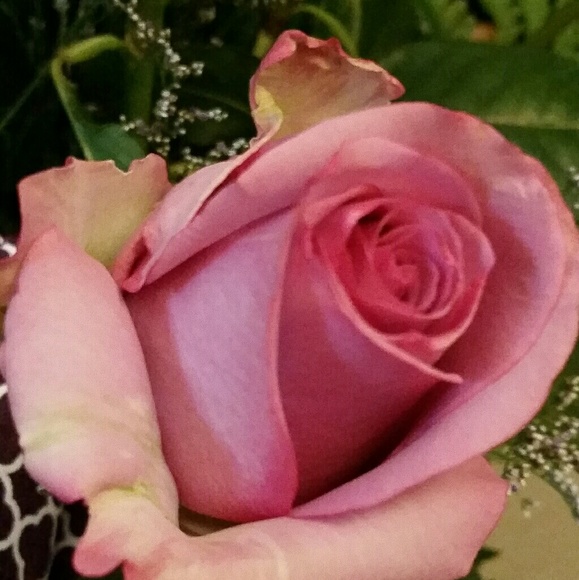 Profile Picture of Dawn Glowatz (@dmg2872) on Poshmark