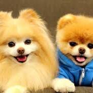 Profile Picture of Julia Szymczak (@julia_szymczak) on Twitter