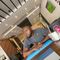 Profile Picture of Solomon Daniels (@solomon.daniels.12) on Facebook