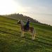 Profile Picture of Sandra Stockinger (@sandra.stockinger.39) on Facebook