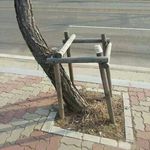 Profile Picture of Dennis (@das_trottelkind) on Instagram