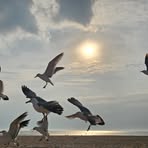 Bart Lance - Facebook Profile Picture of Bart Lance (@Bart-Lance) on Facebook