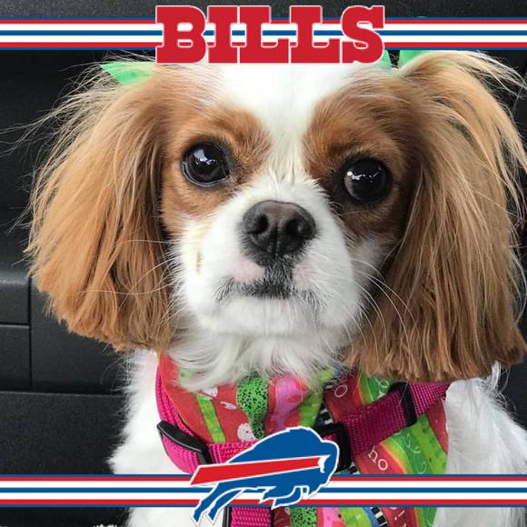 Profile Picture of Vicky Rambuss schaffstall (@vickshopblush) on Poshmark