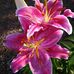 Profile Picture of Brenda Mccormick (@brenda.mccormick.1272) on Facebook