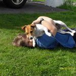 Profile Picture of Darrin Keller (@darrin.k123) on Instagram