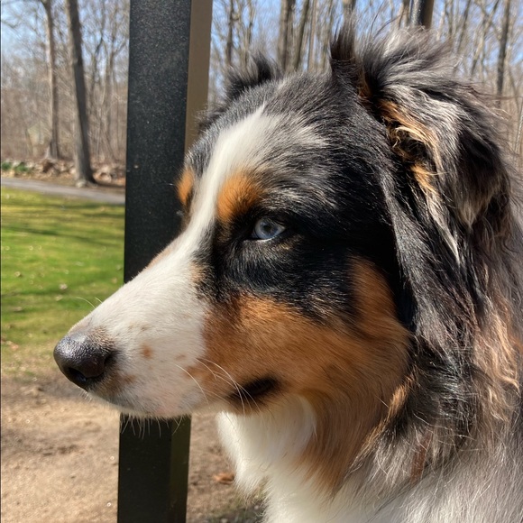 Ella Lordan - Poshmark Profile Picture of Ella Lordan (@ellasavocados) on Poshmark