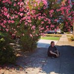 Profile Picture of Nicholas Johnson (@doriangreyscale) on Instagram