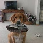 Profile Picture of Steve Michels (@steve.michels.359) on Instagram