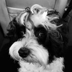 Profile Picture of Leah Mccusker (@lee_lee2946) on Instagram