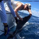 Profile Picture of Doug Bates (@hilbilydluxe) on Instagram