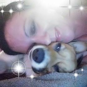 Profile Picture of Holly Geyer (@treasuredcorgis01) on Pinterest