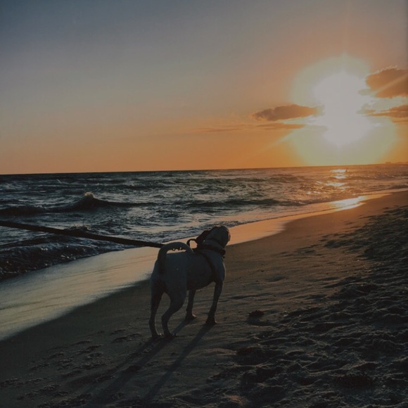 Profile Picture of Grace Giffen (@grace_0264) on Poshmark