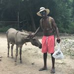 Profile Picture of Tyler Goodman (@tall_darkand_handsome) on Instagram