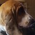 Profile Picture of Laurie Lavallee (@laurie.lavallee.3382) on Facebook