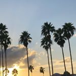 Profile Picture of Robert Lucchetti (@thursday941) on Instagram