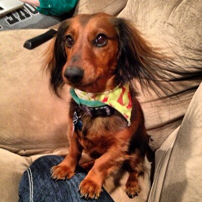 Profile Picture of Paul (@PaulKeast1) on Twitter