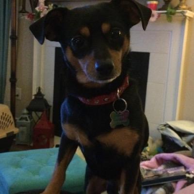 Profile Picture of Lori T. McGrath (@1LoriMcGrath) on Twitter