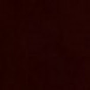 Profile Picture of David Schuch (@davidschuch5316) on Youtube