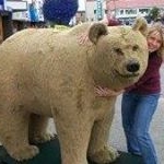 Profile Picture of Suzanne Baumgartner (@baumgartnersuzanne) on Instagram