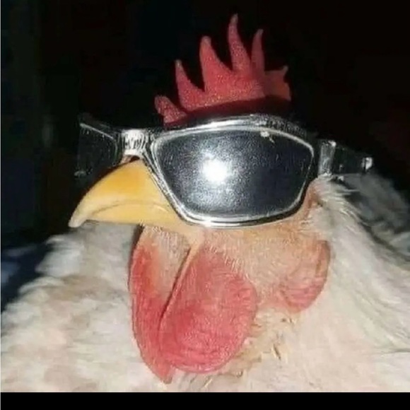 Profile Picture of Lauren Forte (@l2boogiee) on Poshmark