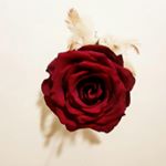 Profile Picture of Katelyn Heck (@__katelyn_heck) on Instagram