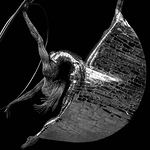 Profile Picture of James Jackson (@J2 Nature) on Flickr