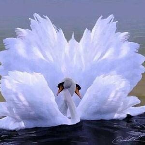 Profile Picture of Rajakrishnan (@rajakrishnan) on Myspace