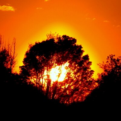 Profile Picture of Barry Snyder (@barrysnyderUA) on Twitter