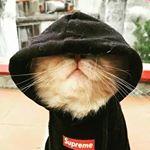 Profile Picture of jonathan_montemayor_89_ (@jonaladona_montemayor) on Instagram