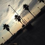 Profile Picture of Thomas Federici (@federicithomas) on Instagram