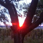 Profile Picture of Max Shore (@maximusacequiparait) on Instagram