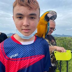 Profile Picture of stephendando (@stephendando) on Tiktok