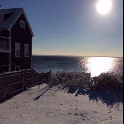 Profile Picture of Paula Koenig (@classicalteach) on Twitter
