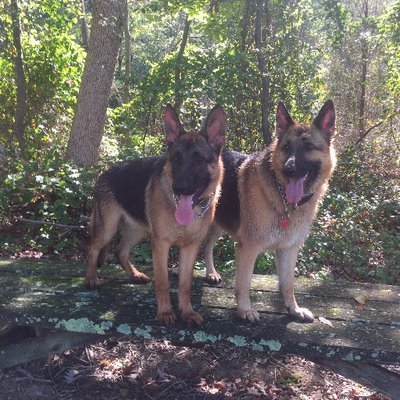 Profile Picture of John F. Munro, MA, PhD (Political Science, UCLA) (@JohnFMunroPhD) on Twitter