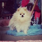 Profile Picture of Joe Lipka (@joelipka) on Instagram