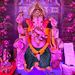 Profile Picture of Vijay Singhal (@vijay05145) on Pinterest