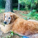 Adithya Vaidhyan - Instagram Profile Picture of Adithya Vaidhyan (@avaidhyan02) on Instagram