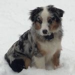 Profile Picture of Peter Toomey (@petetoomey) on Instagram