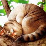 Yevgeniya Rozby - Flickr Profile Picture of Yevgeniya Rozby (@yevgeniyarozby) on Flickr