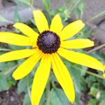 Profile Picture of Lise Hebert (@lise.hebert.37) on Instagram